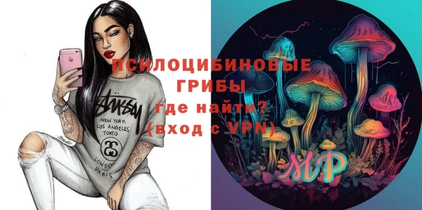бошки Пролетарск