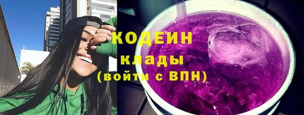 спиды Дубна